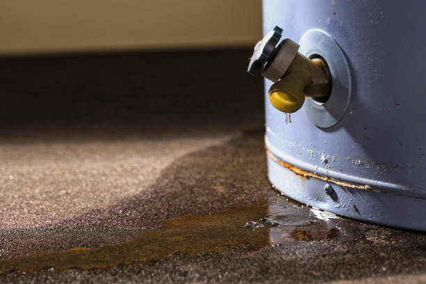 Best Flood damage cleanup  in Lathrup Village, MI