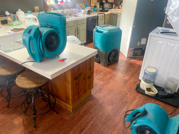 Best Commercial water damage restoration  in Lathrup Village, MI