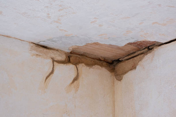  Lathrup Village, MI Water damage restoration Pros